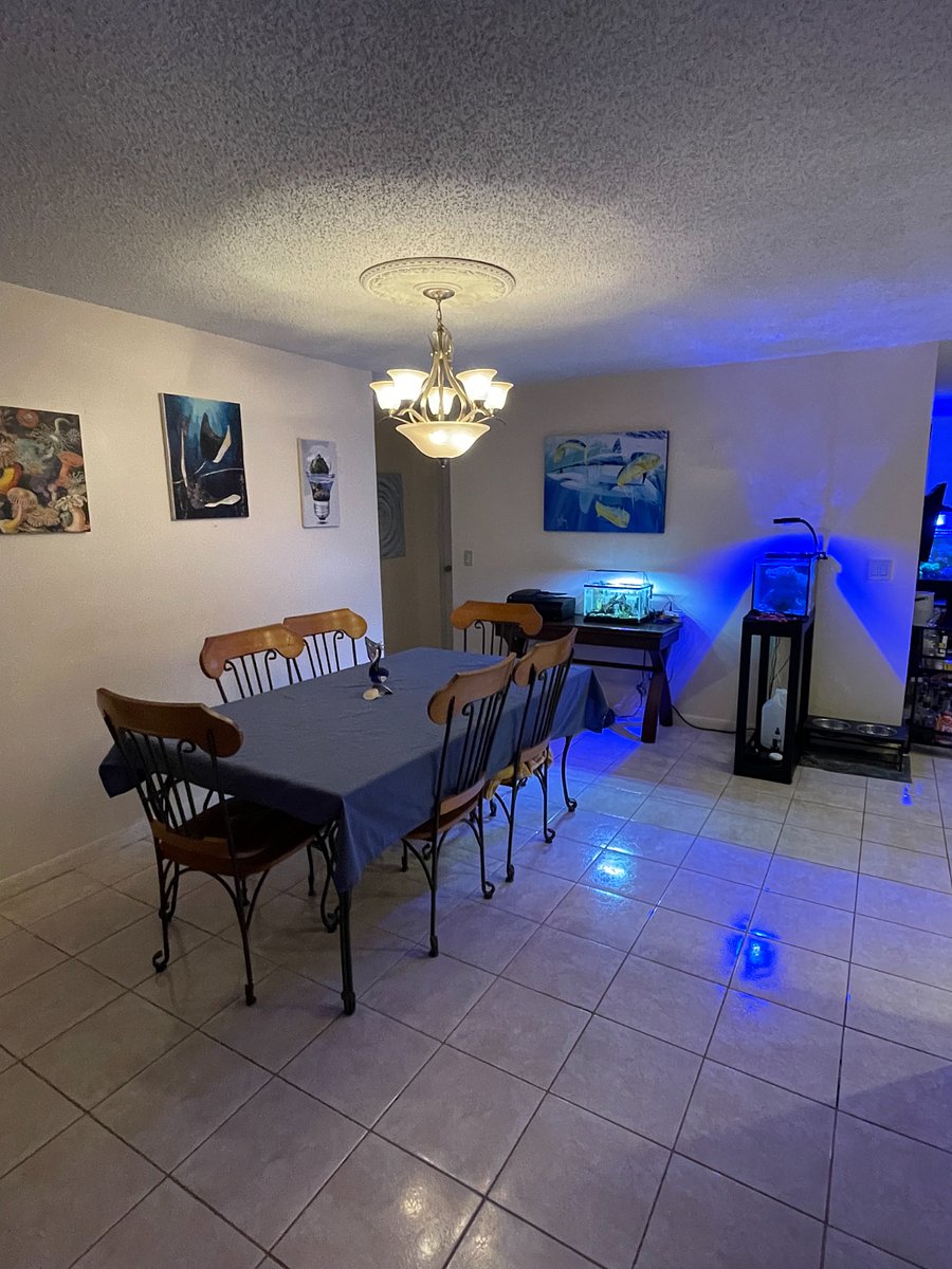 Furnished Finder property 806597_1 photo 7