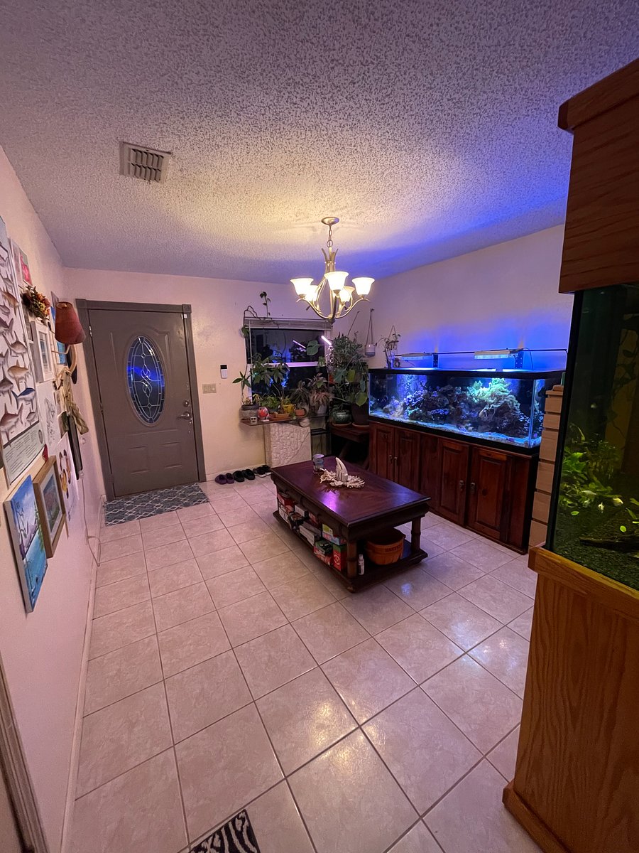 Furnished Finder property 806597_1 photo 8