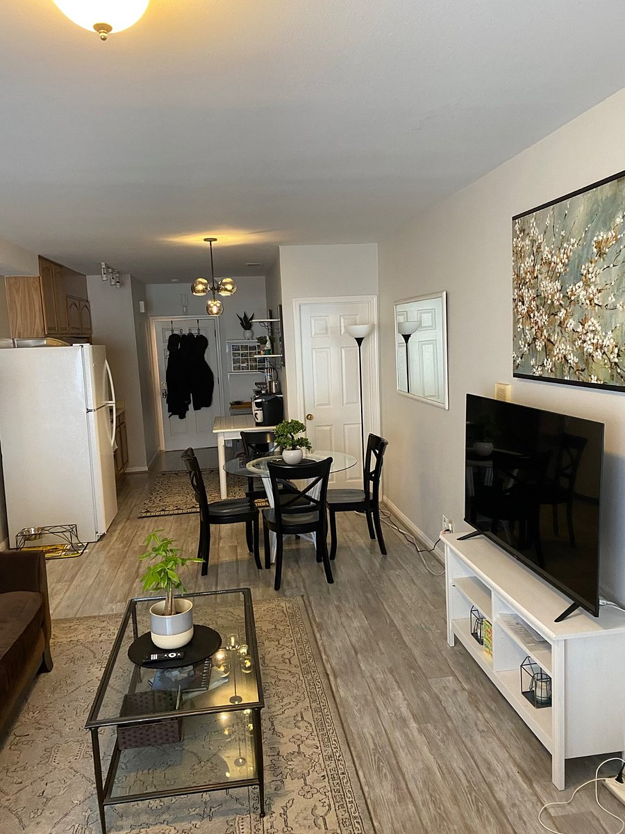 Furnished Finder property 806699_1 photo 4
