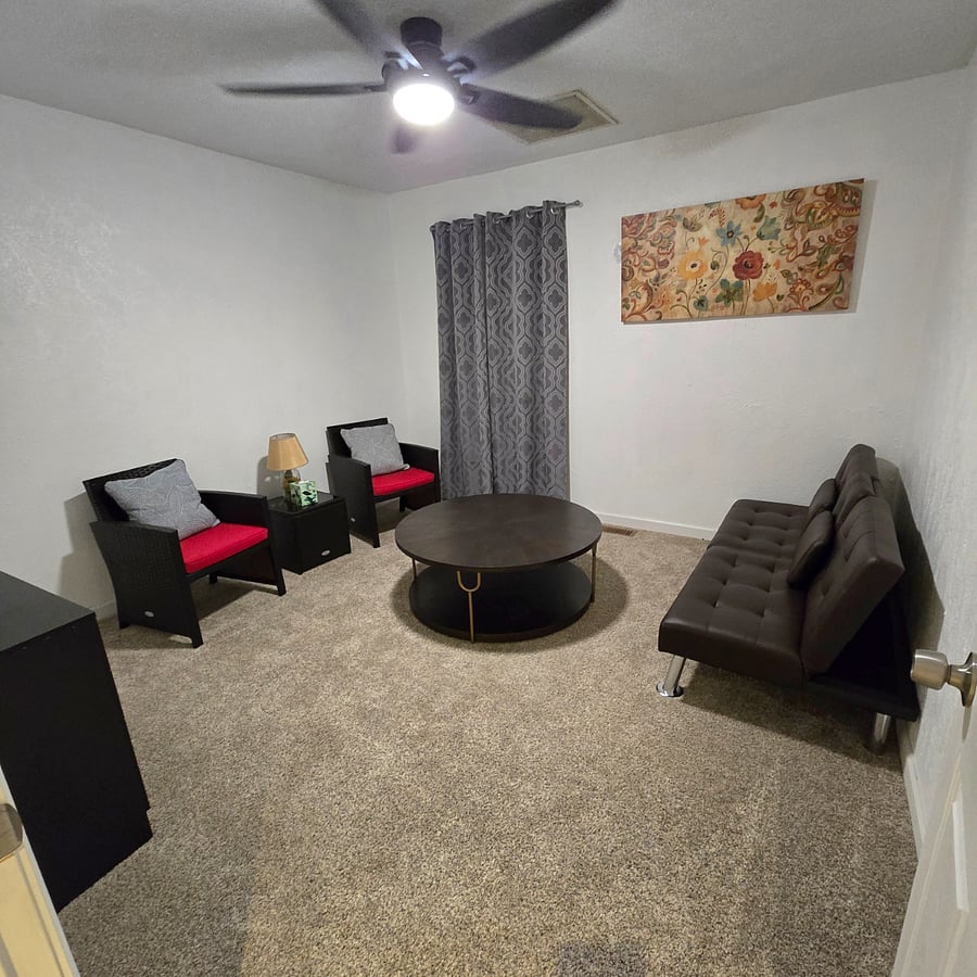 Living room with small sofa turns into a bed for guest