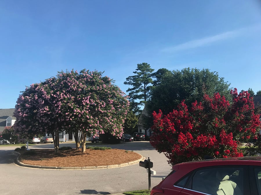 View of quiet cul-de-sac from the front door