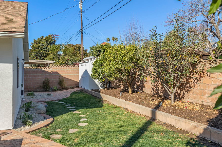 Backyard