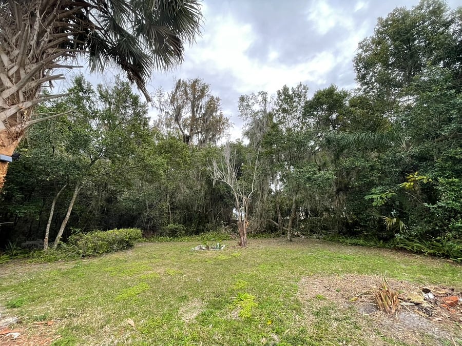 Large Back yard