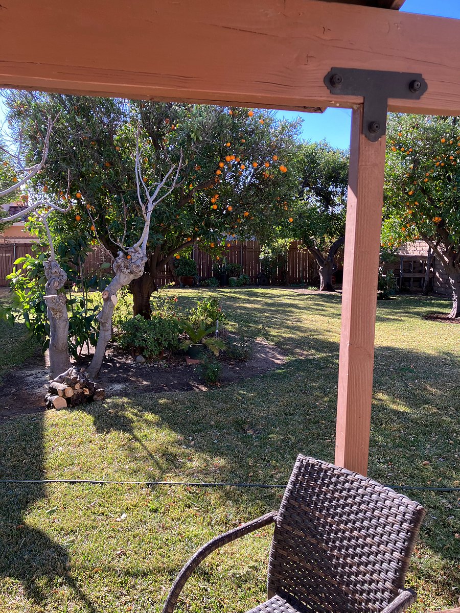 Furnished Finder property 807143_1 photo 13