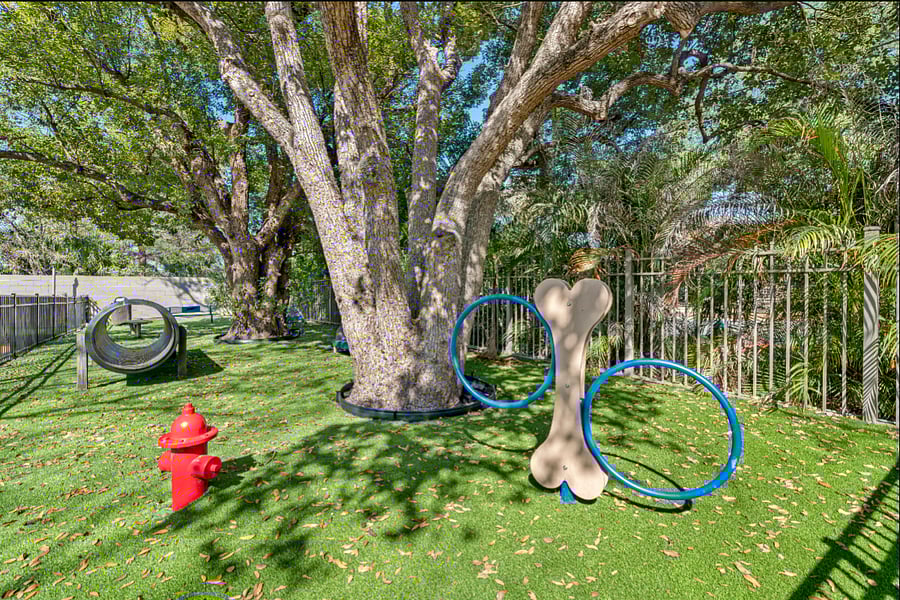 Furnished Finder property 807213_3 photo 6