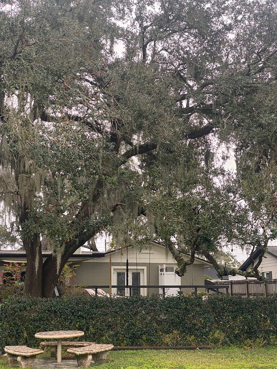Back view of house