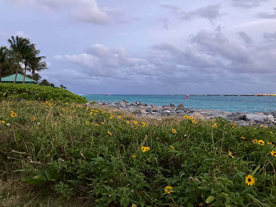 This is located just a one-minute drive across the bridge. Free beach parking, too!