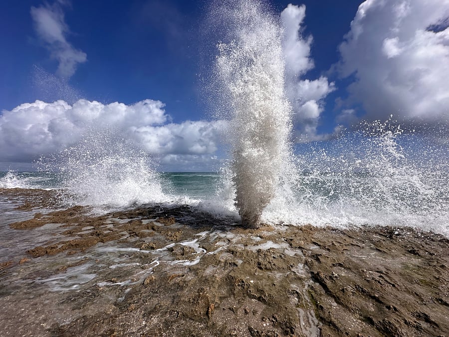 Close to Singer Island. Book with me and Ill tell you all the best spots (and where to find this)!