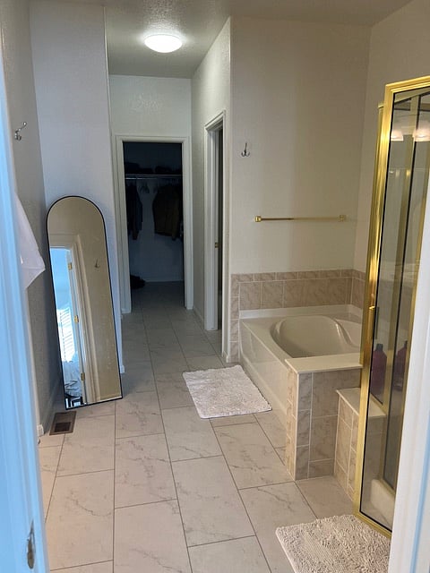 Downstairs Master bath