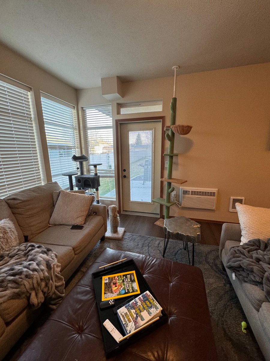 Furnished Finder property 807807_1 photo 15