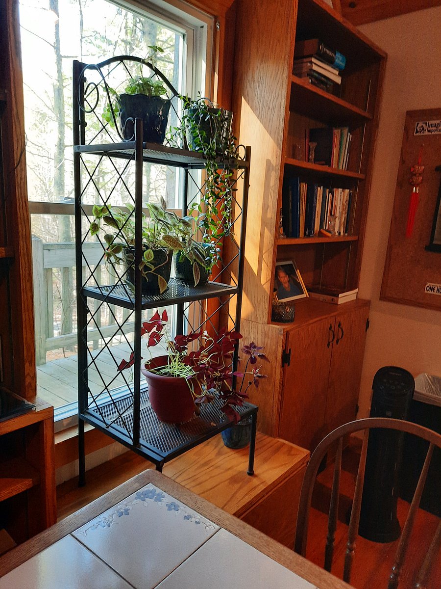 Furnished Finder property 808056_1 photo 10
