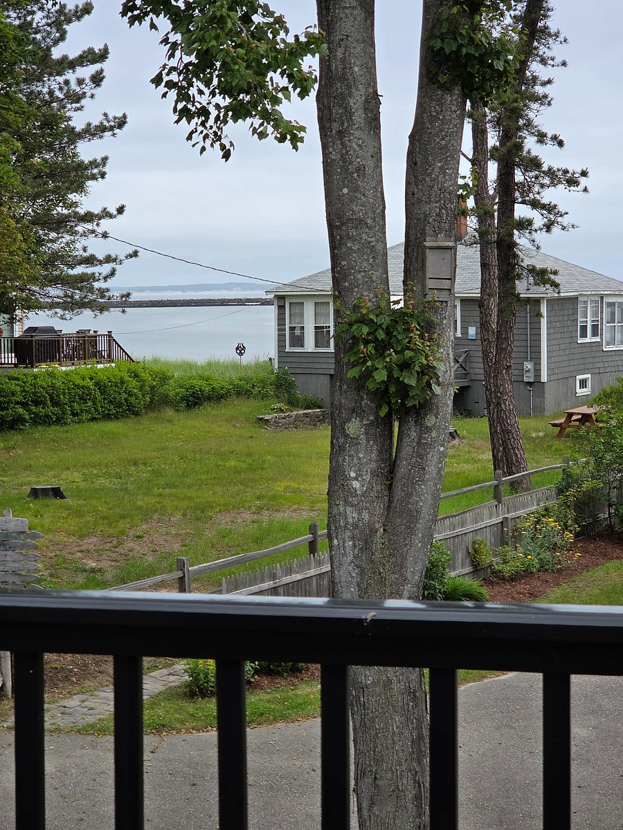 view from deck