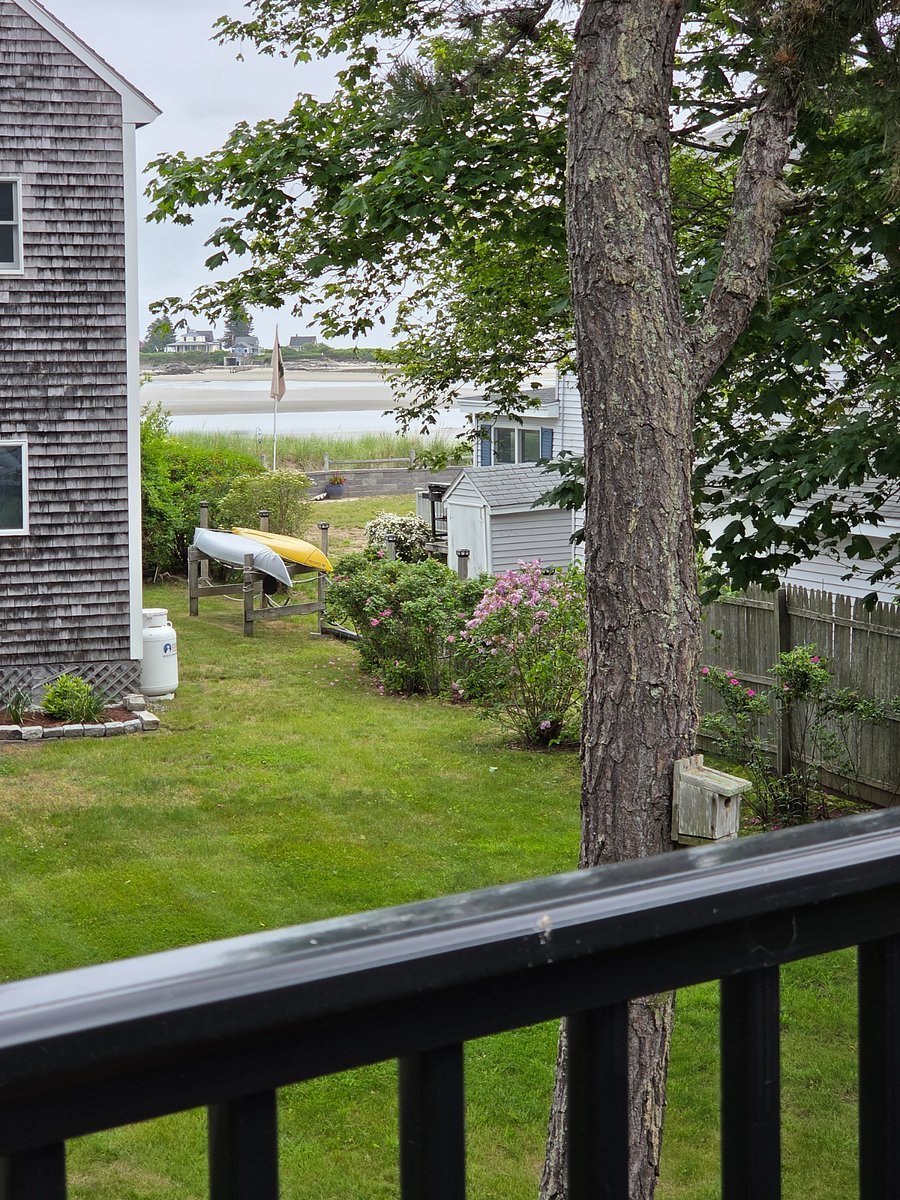 view from deck