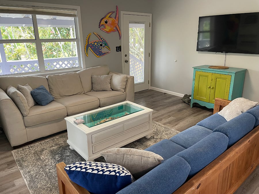 Living room with pull out couch