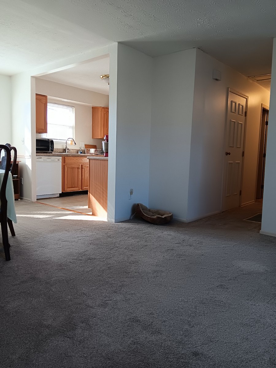 Furnished Finder property 808192_1 photo 5