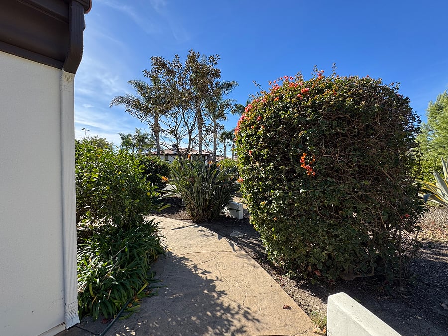 Furnished Finder property 808249_1 photo 17