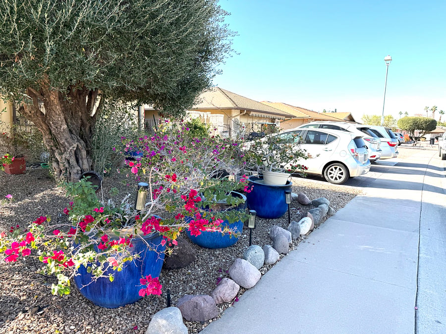 Furnished Finder property 808297_1 photo 15