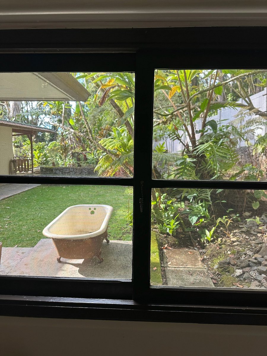 Furnished Finder property 808322_1 photo 24