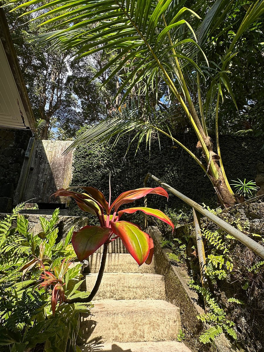 Furnished Finder property 808322_1 photo 28