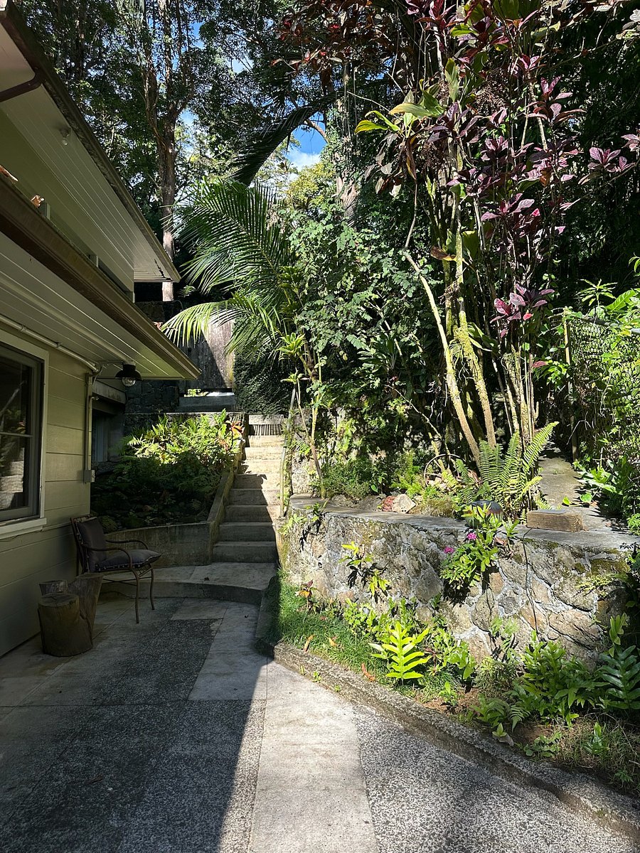 Furnished Finder property 808322_1 photo 30