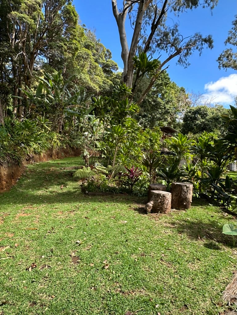 Furnished Finder property 808322_1 photo 34