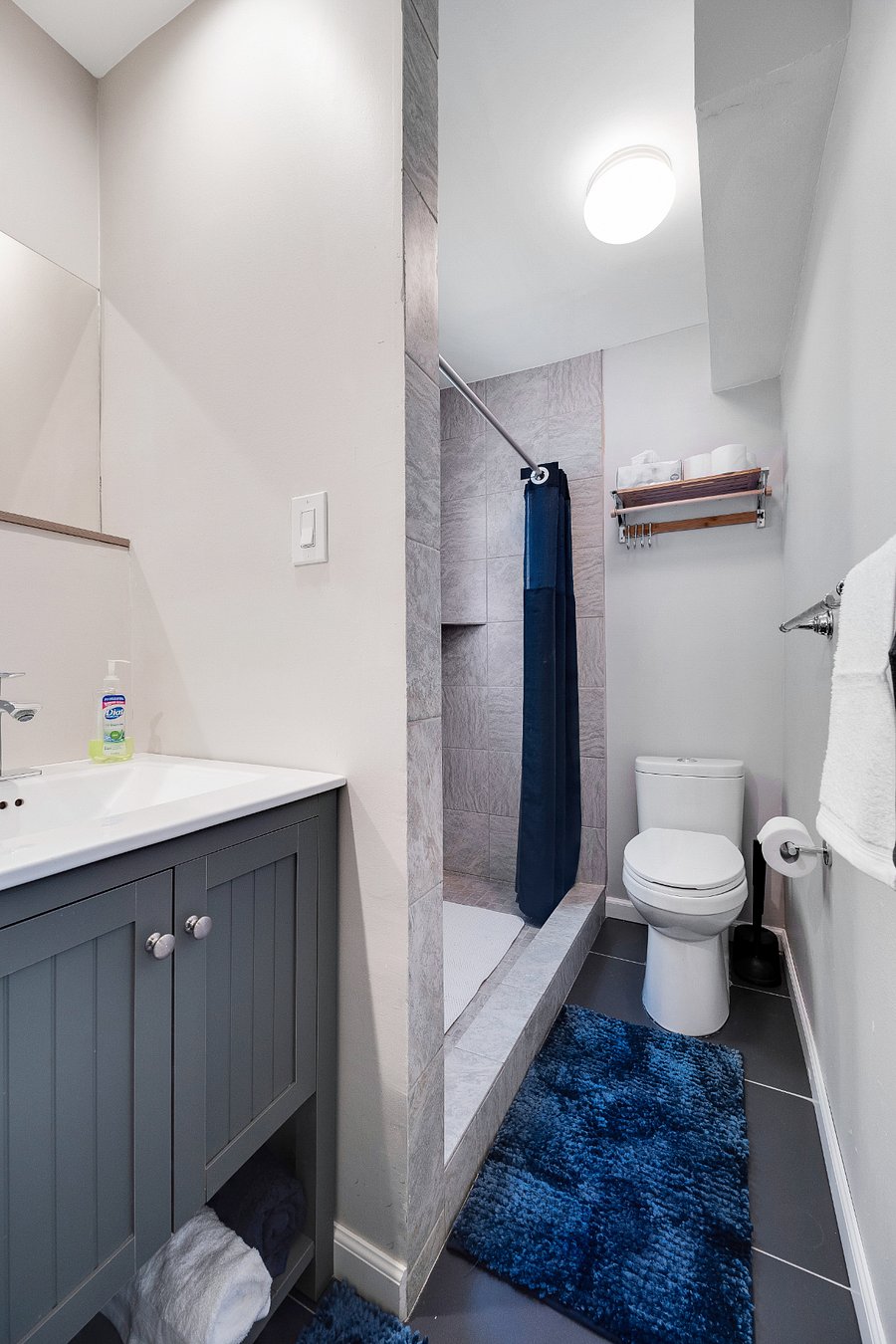 Furnished Finder property 808516_2 photo 11