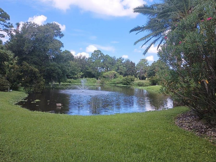 Furnished Finder property 808572_1 photo 20