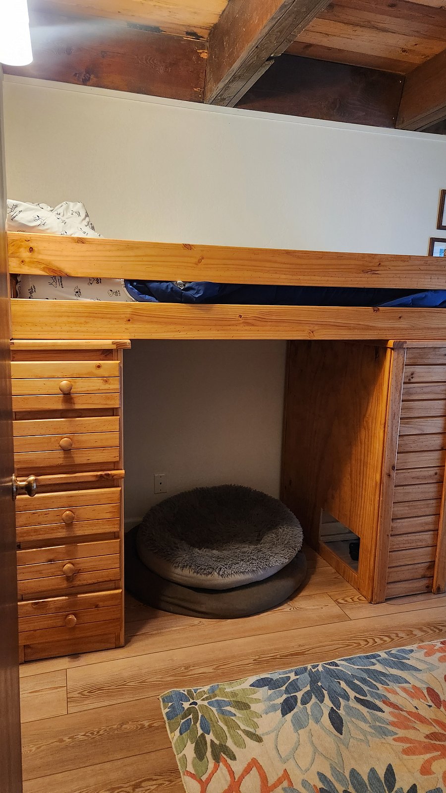 Downstairs small bedroom with lofted single bed.