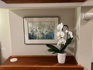 Furnished Finder property 809114_1 photo 4