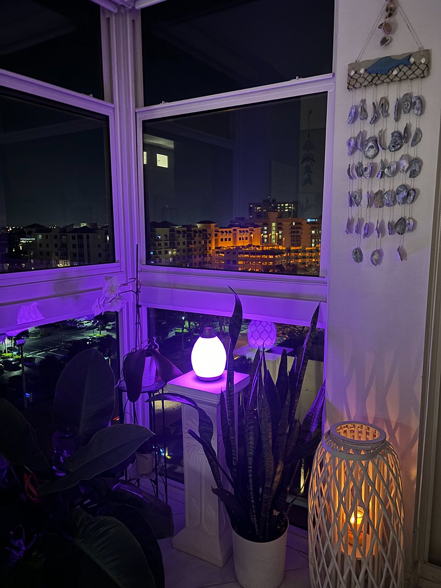 Furnished Finder property 809157_1 photo 22
