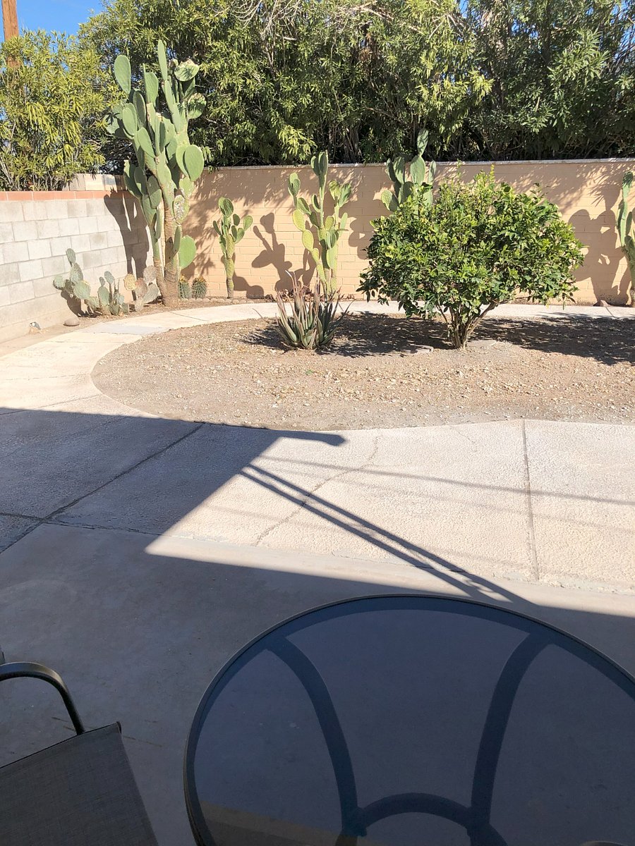Furnished Finder property 809199_1 photo 23