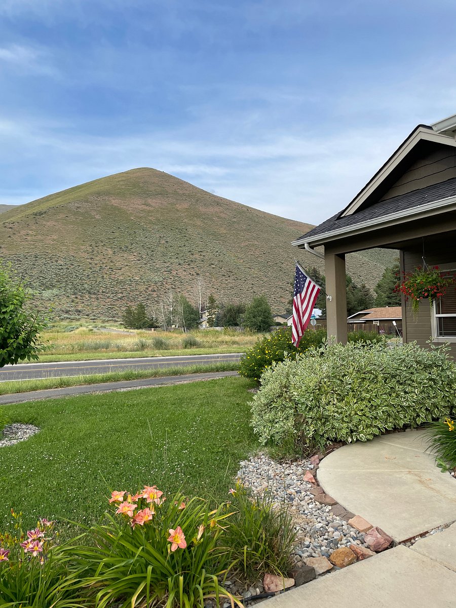 Home exterior, Yard