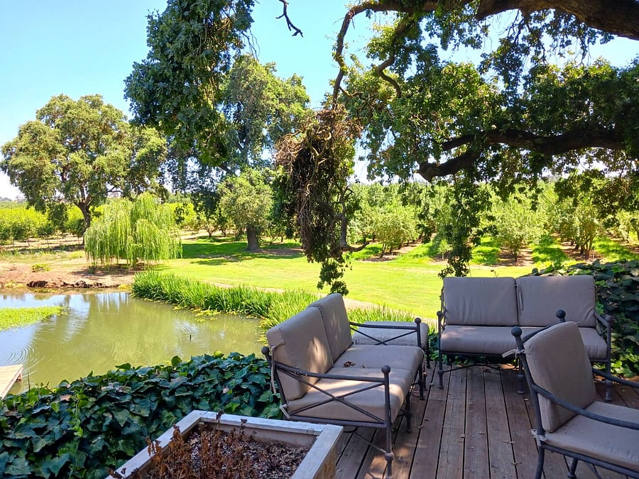 Furnished Finder property 809309_1 photo 10