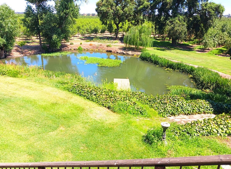 Furnished Finder property 809309_1 photo 11