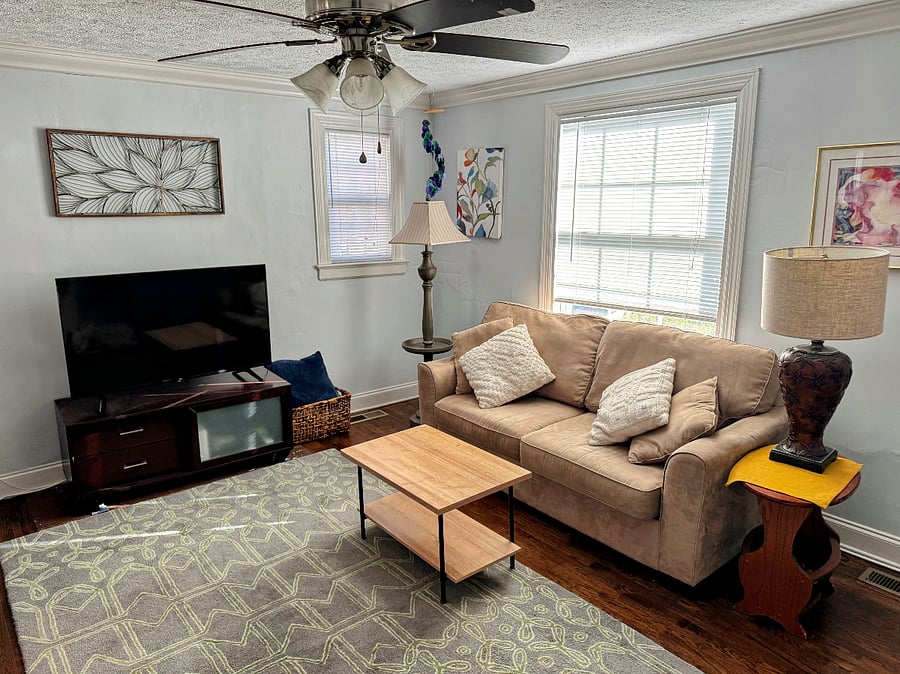 Living Room with Pull-Out Couch