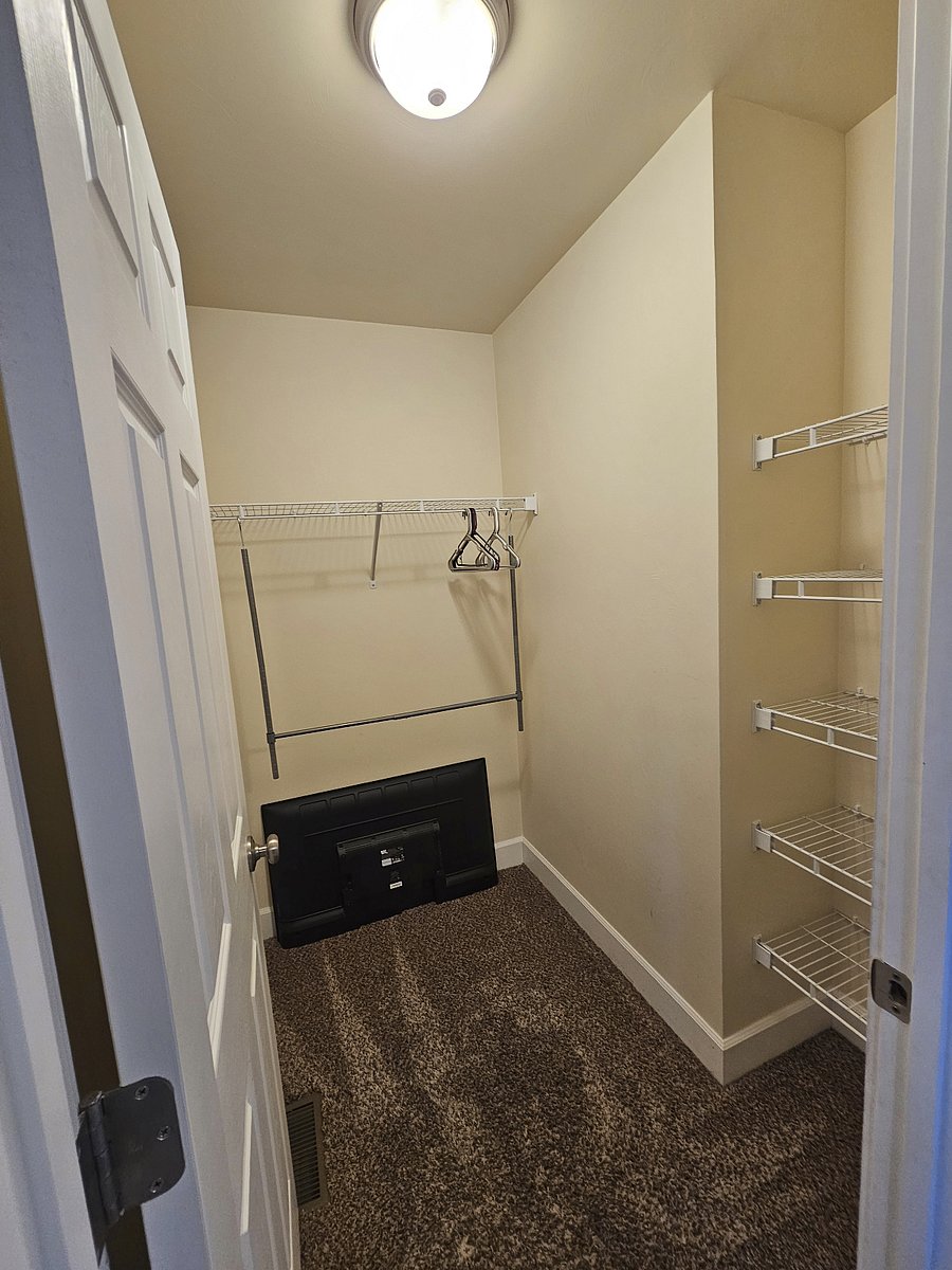 Closet in Study