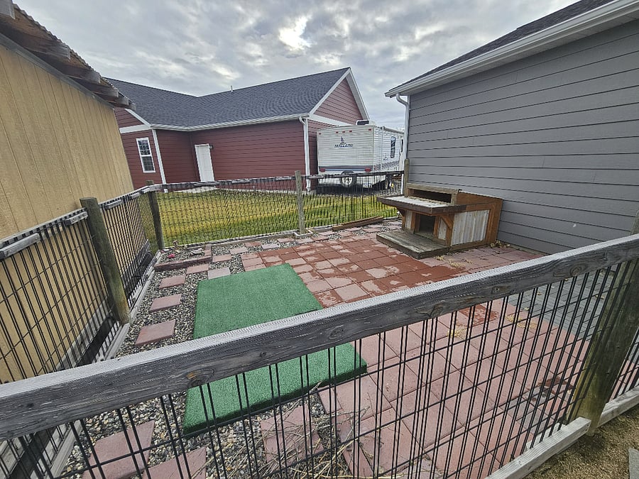 Dog Area