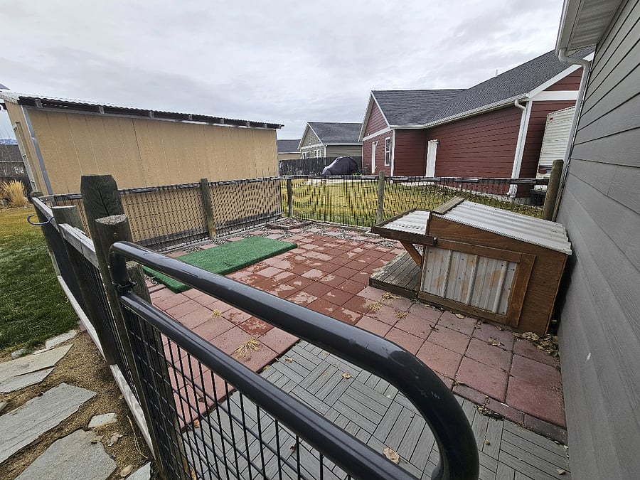 Enclosed Dog area