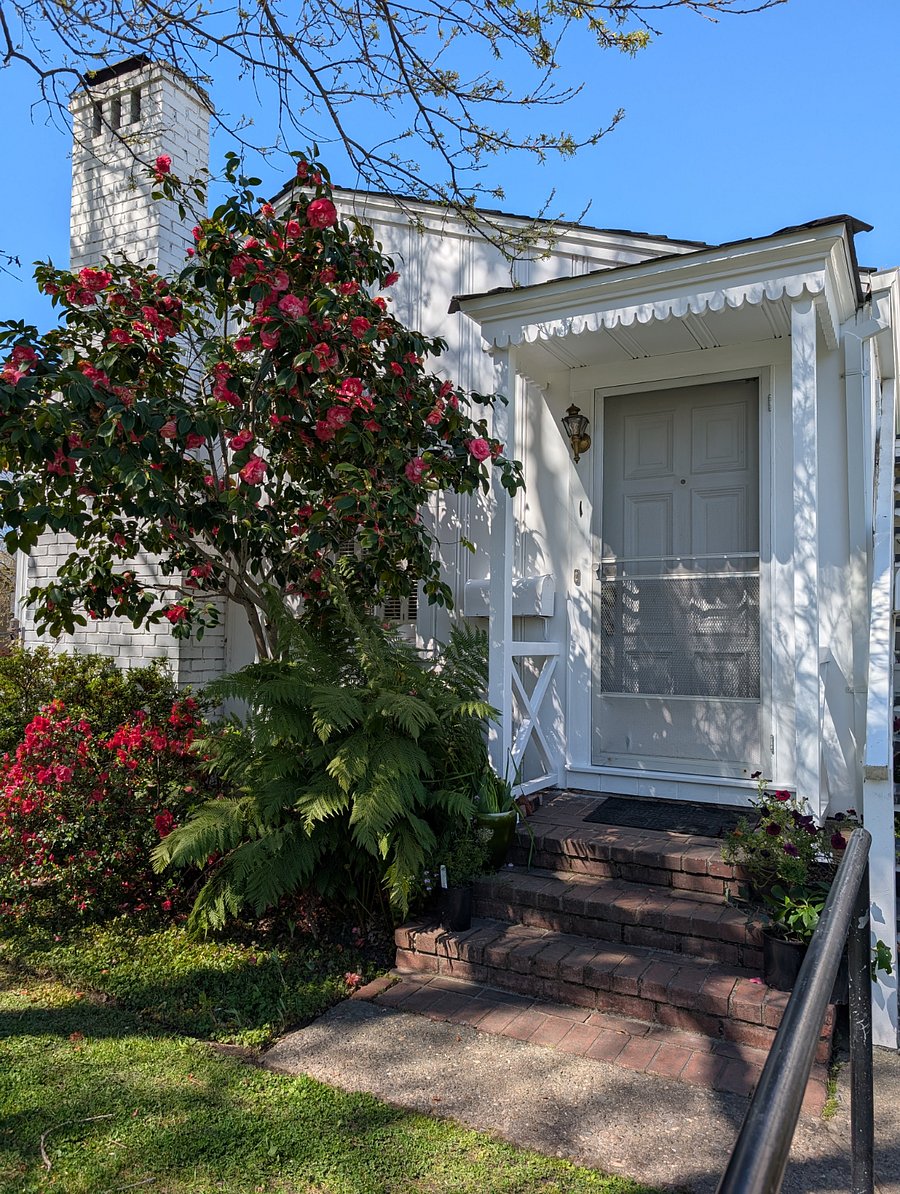 Furnished Finder property 809843_1 photo 4
