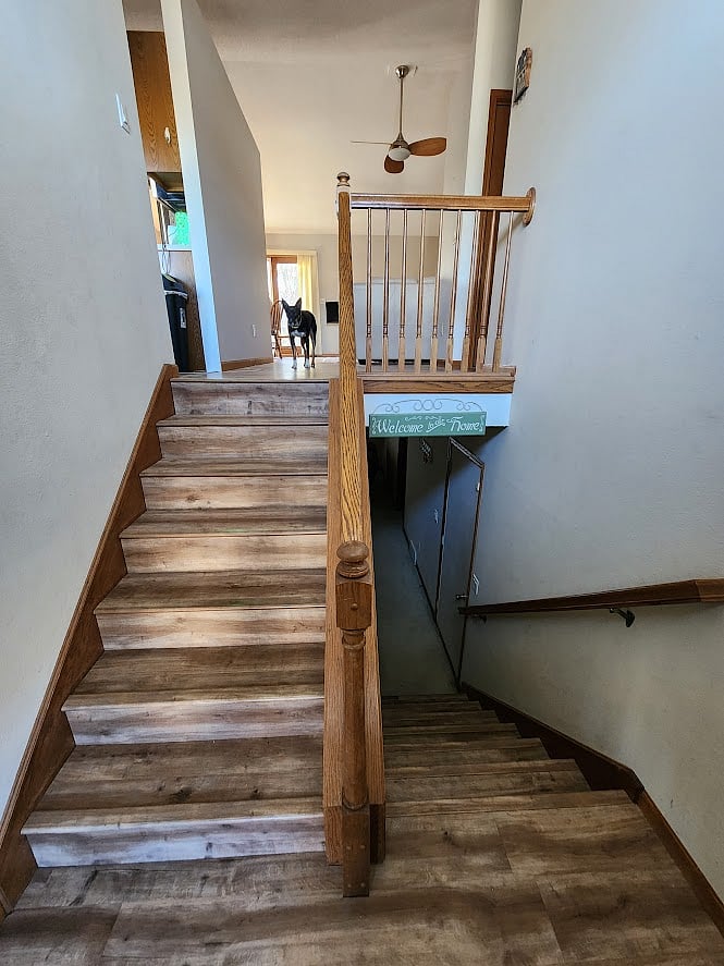 Furnished Finder property 809871_1 photo 7