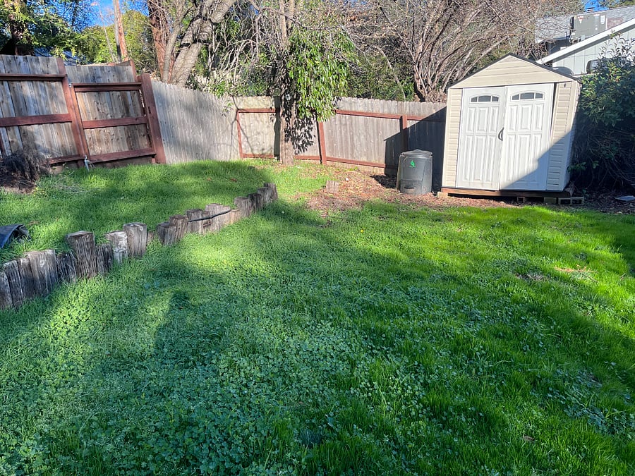 Backyard, with tool shed and compost bin you're welcome to contribute to.