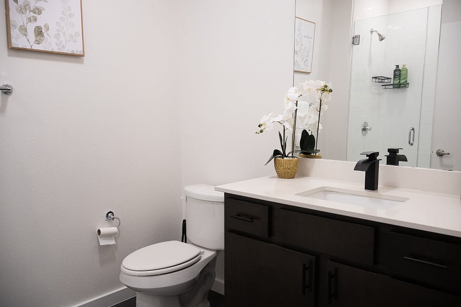 Furnished Finder property 810251_2 photo 12