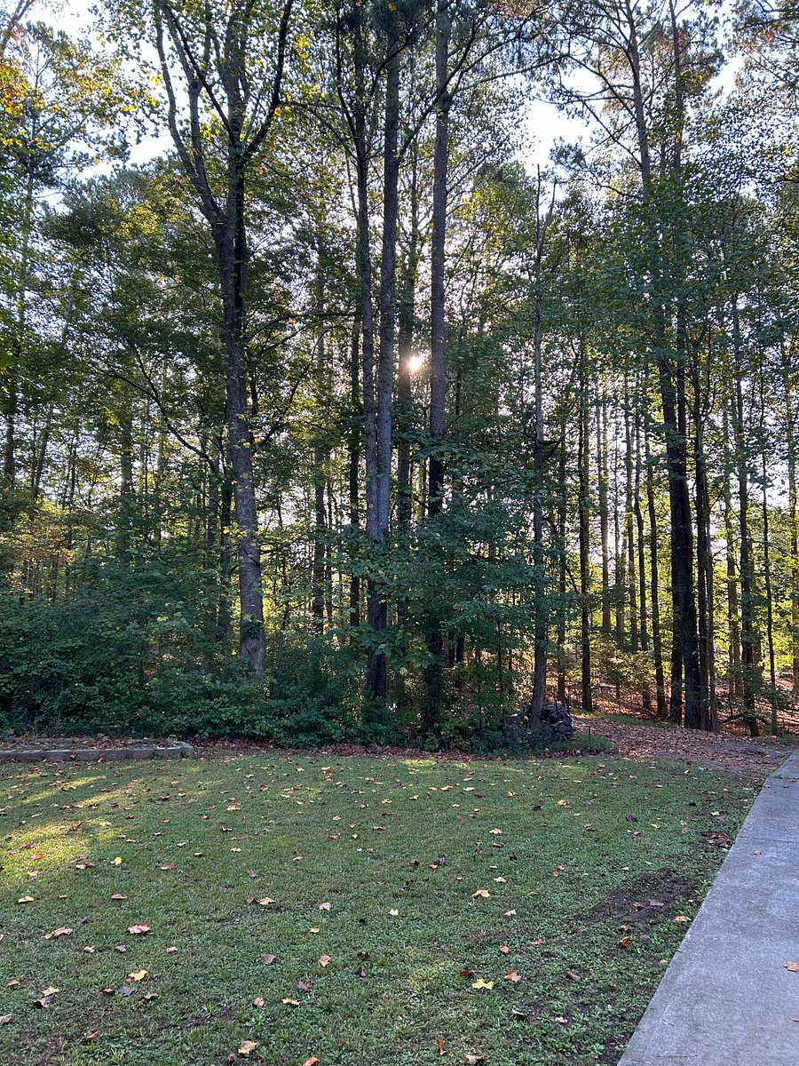 Furnished Finder property 810329_1 photo 15