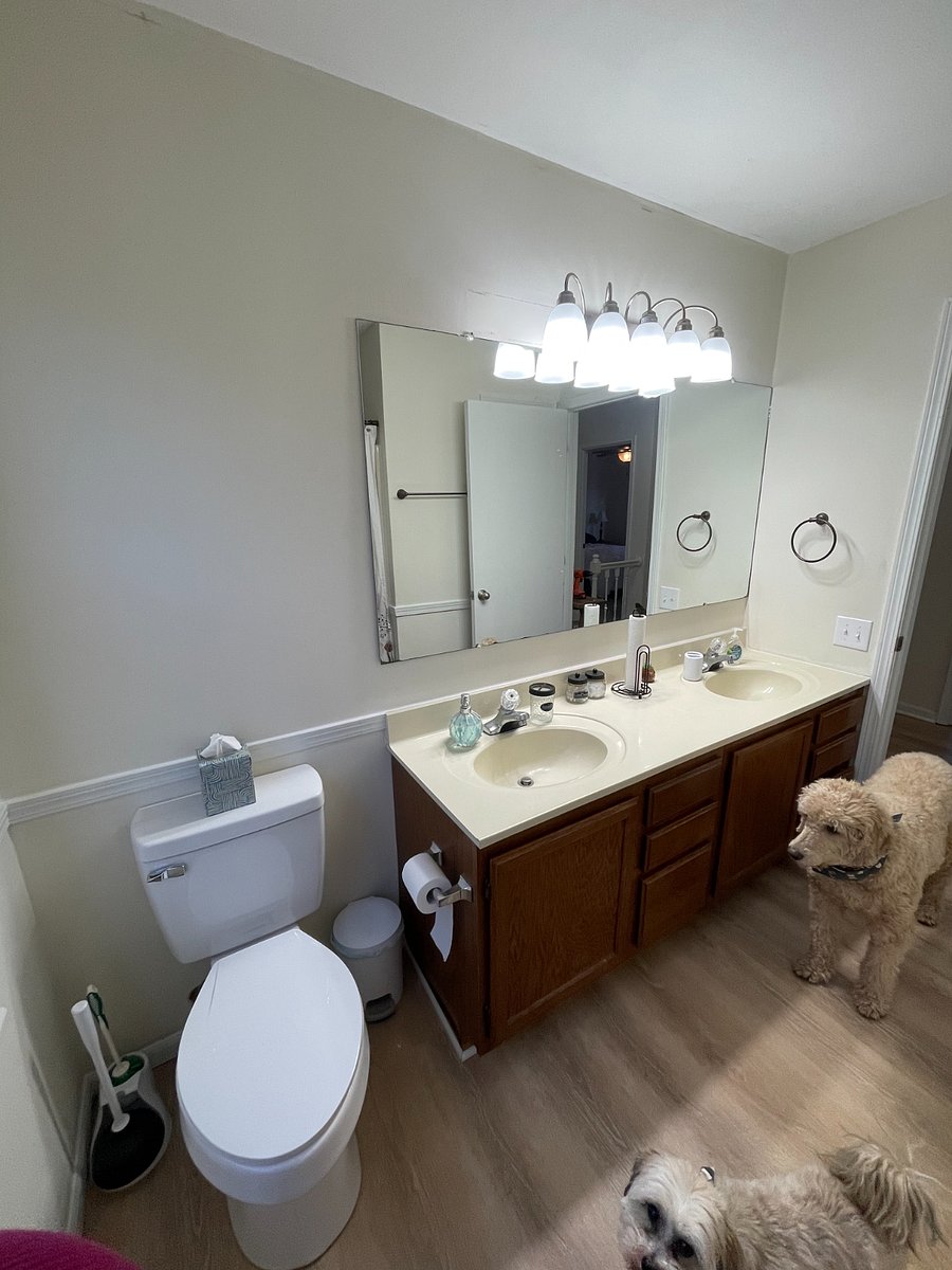 Shared bathroom with double sinks (Also pictured, the local fur babies!)