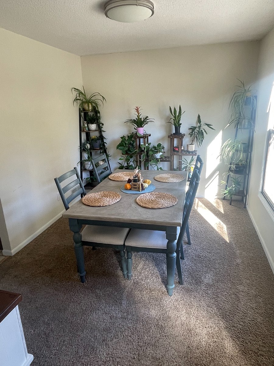 Dining Room with space for 4 (Also pictured: Part of my beloved plant collection!)