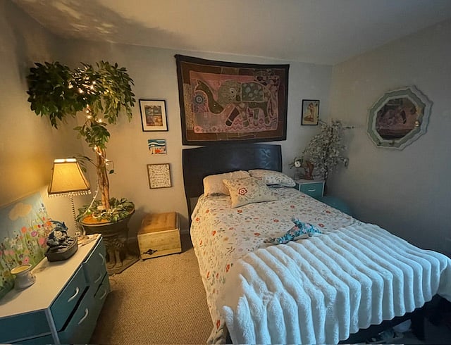 Guest bedroom