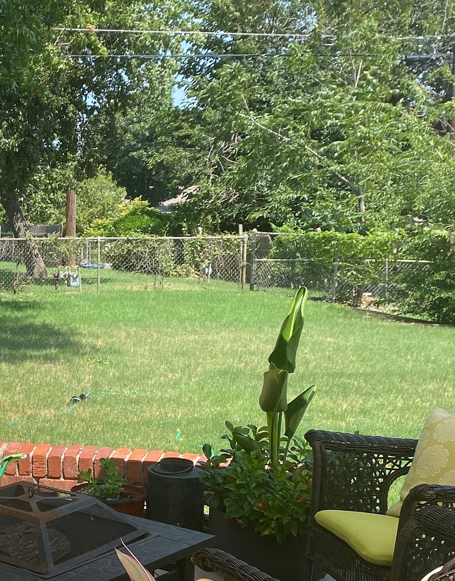 Furnished Finder property 810457_1 photo 12