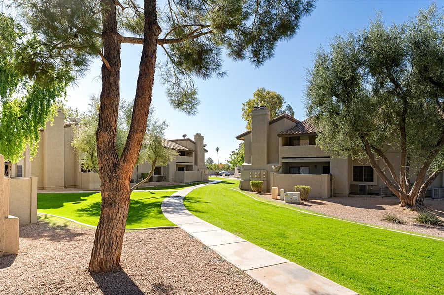 Grassy areas found around the community