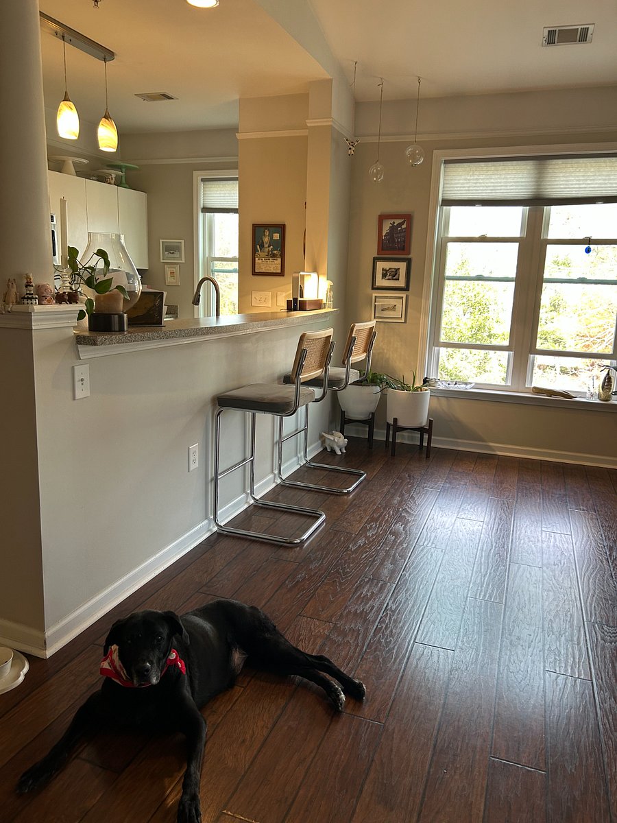 Furnished Finder property 810576_1 photo 13