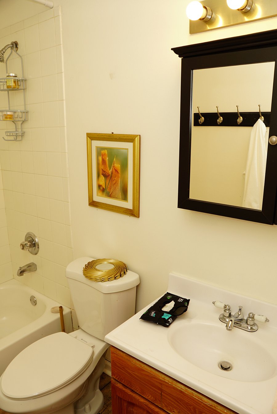Furnished Finder property 810579_1 photo 4